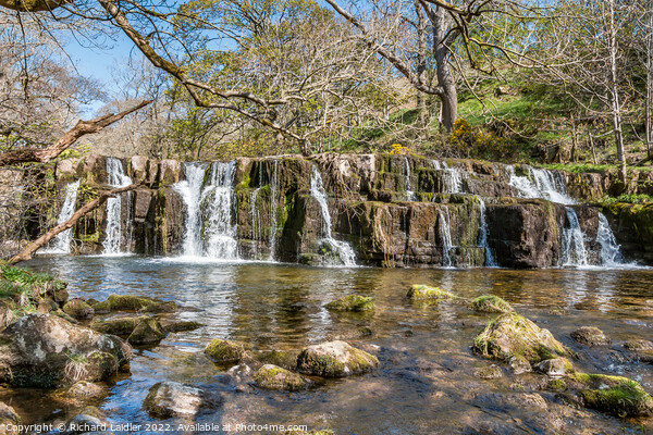 Orgate Force Waterfall in Spring Sunshine (1) Picture Board by Richard Laidler