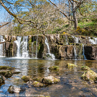 Buy canvas prints of Orgate Force Waterfall in Spring Sunshine (1) by Richard Laidler
