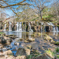 Buy canvas prints of Orgate Force Waterfall in Spring Sunshine (2) by Richard Laidler