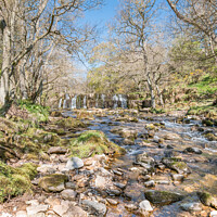 Buy canvas prints of Orgate Force Waterfall in Spring Sunshine (3) by Richard Laidler
