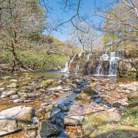 Buy canvas prints of Orgate Force Waterfall in Spring Sunshine (4) by Richard Laidler