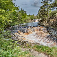 Buy canvas prints of Spring at Low Force Waterfall, Teesdale by Richard Laidler