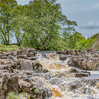 Buy canvas prints of Spring Cascade at Low Force Waterfall, Teesdale by Richard Laidler