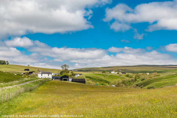 Summer Meadows in Ettersgill, Teesdale Picture Board by Richard Laidler
