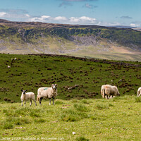 Buy canvas prints of Cronkley Scar from Wool Pits Hill, Teesdale by Richard Laidler