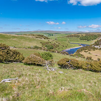 Buy canvas prints of Towards Forest in Teesdale from Bracken Rigg on the Pennine Way by Richard Laidler