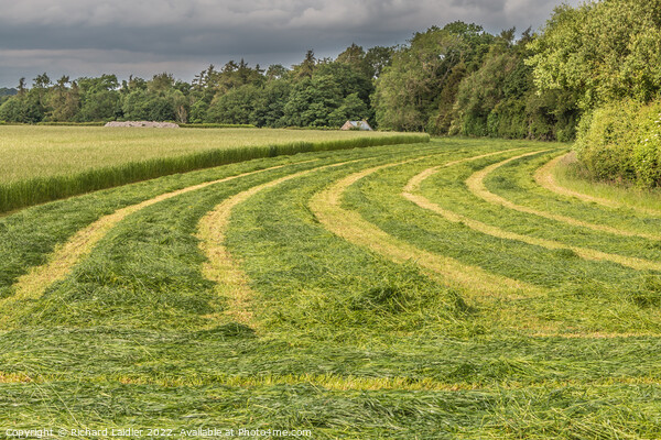 Freshly Cut Silage at Wycliffe (2) Picture Board by Richard Laidler