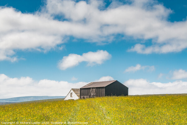 Barns in a Hay Meadow, Teesdale Picture Board by Richard Laidler