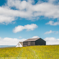 Buy canvas prints of Barns in a Hay Meadow, Teesdale by Richard Laidler