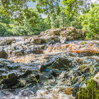 Buy canvas prints of A Summer Cascade on the River Tees by Richard Laidler