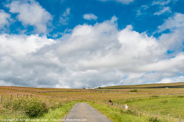 Wool Pits Hill Big Sky Picture Board by Richard Laidler