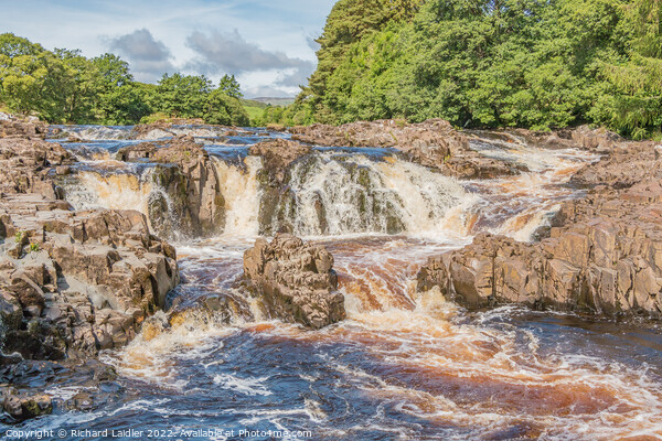 Salmon Leap Falls, Teesdale Picture Board by Richard Laidler