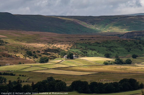 Spotlight on Hield House, Teesdale Picture Board by Richard Laidler