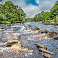 Buy canvas prints of Summer on the River Tees at Demesnes Mill, Barnard Castle by Richard Laidler