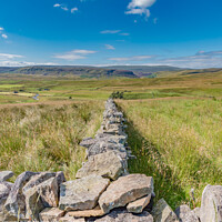 Buy canvas prints of Down to Widdybank Farm and Cronkley Scar by Richard Laidler