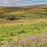 Buy canvas prints of Sunshine and Shadows on Peghorn Lodge, Teesdale by Richard Laidler