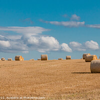 Buy canvas prints of Barley Bales by Richard Laidler