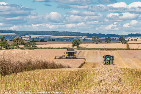 OSR Harvest at Foxberry Aug 2022 (1) Picture Board by Richard Laidler