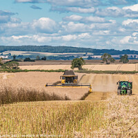 Buy canvas prints of OSR Harvest at Foxberry Aug 2022 (1) by Richard Laidler