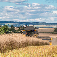 Buy canvas prints of OSR Harvest at Foxberry Aug 2022 (2) by Richard Laidler