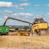 Buy canvas prints of OSR Harvest at Foxberry Aug 2022 (3) by Richard Laidler