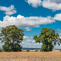 Buy canvas prints of Big Harvest Sky at Foxberry by Richard Laidler
