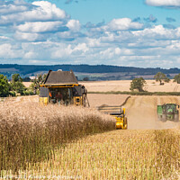 Buy canvas prints of OSR Harvest at Foxberry Aug 2022 (4) by Richard Laidler