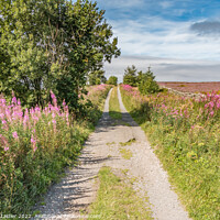 Buy canvas prints of Botany Road, Mickleton, Teesdale by Richard Laidler