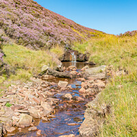 Buy canvas prints of Little Eggleshope Beck, Teesdale by Richard Laidler