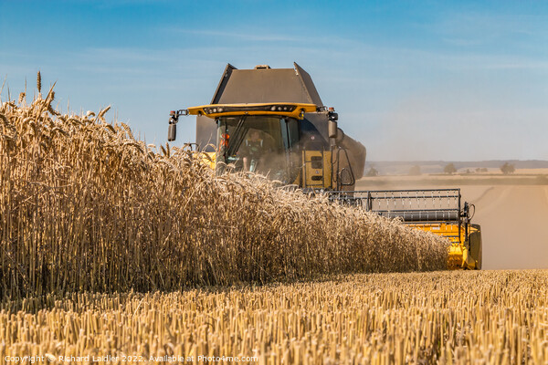 Wheat Harvest on Foxberry Aug 2022 (2) Picture Board by Richard Laidler