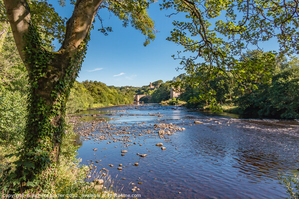 Summer Morning on the Tees at Barnard Castle, Teesdale Picture Board by Richard Laidler