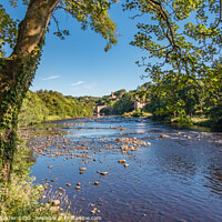 Buy canvas prints of Summer Morning on the Tees at Barnard Castle, Teesdale by Richard Laidler