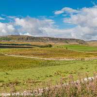 Buy canvas prints of Cronkley Scar Panorama, Upper Teesdale  by Richard Laidler