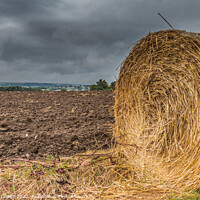 Buy canvas prints of End of Season Bale by Richard Laidler