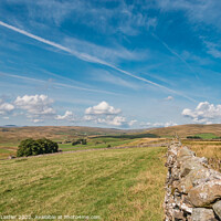 Buy canvas prints of Across to Harwood, Teesdale by Richard Laidler