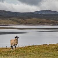 Buy canvas prints of Great Dun Fell and Cow Green Reservoir (2) by Richard Laidler