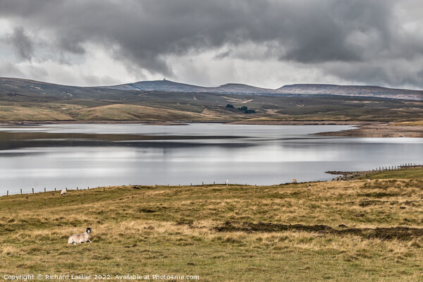 Cow Green Reservoir and three Pennine peaks Picture Board by Richard Laidler