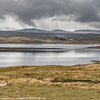 Buy canvas prints of Cow Green Reservoir and three Pennine peaks by Richard Laidler