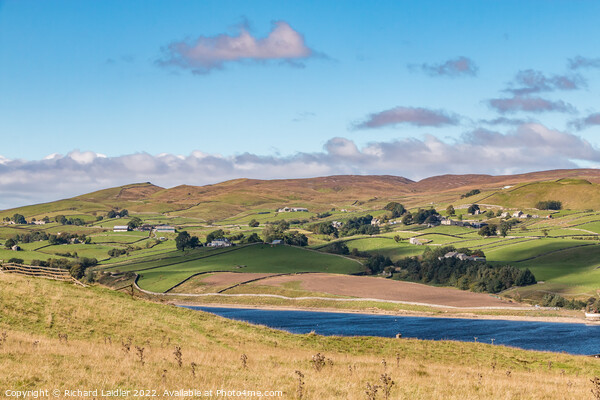 Thringarth and Grassholme Reservoir, Lunedale Picture Board by Richard Laidler