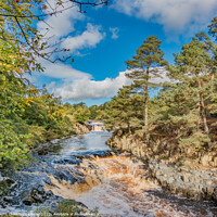 Buy canvas prints of Autumn Tints at Low Force Waterfall, Teesdale by Richard Laidler