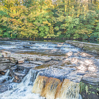 Buy canvas prints of The Falls on the River Swale at Richmond by Richard Laidler