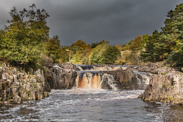 Autumn Bright Interval at Low Force Waterfall, Teesdale Picture Board by Richard Laidler