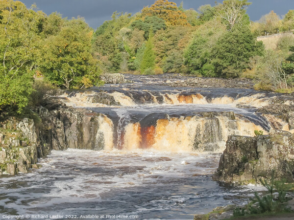 Autumn Drama at Low Force Waterfall, Teesdale Picture Board by Richard Laidler