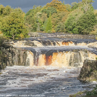 Buy canvas prints of Autumn Drama at Low Force Waterfall, Teesdale by Richard Laidler