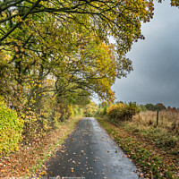 Buy canvas prints of Autumn Brightness at Wycliffe, Teesdale by Richard Laidler