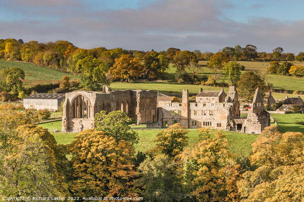Egglestone Abbey in Autumn Sun (1) Picture Board by Richard Laidler
