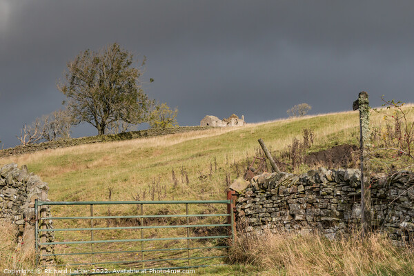 High Stonygill Farm Ruins, Teesdale Picture Board by Richard Laidler
