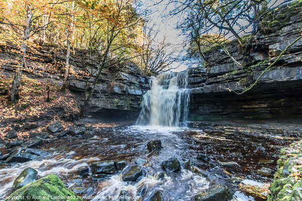Autumn at Summerhill Force Waterfall, Teesdale Picture Board by Richard Laidler