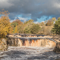 Buy canvas prints of Autumn Splendour at Low Force Waterfall, Teesdale by Richard Laidler