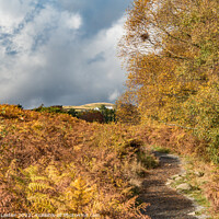 Buy canvas prints of Autumn on the Pennine Way towards High Force, Teesdale  by Richard Laidler